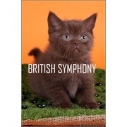 Британские котята купить в питомнике «british symphony».