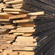 Доска необрезная ольха разных размеров от заготовителя леса (Украина, продажа на экспорт) фото