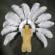 Крылья из страусиных перьев фото
