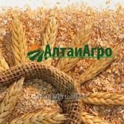 Отруби пищевые пшеничные фото