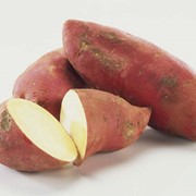 Картофель сладкий Батат фото