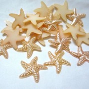 Звезды морские