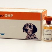Живая сухая вакцина Нобивак DHP