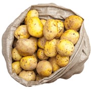 Картофель в мешках 30кг фото