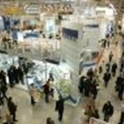 Проведение выставок фото