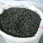 Переработка семян подсолнечника. фото