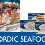 Замороженная продукция Nordic Seafood оптом