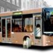 Автобус средней пассажировместимости МАЗ 206
