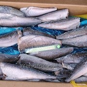 Рыба Хек 300-600 Китай IQF фото