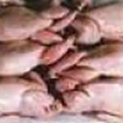 Мясо птицы охлажденное от 200г, Охлажденное и мороженное мясо перепелов, перепелиное мясо в Луганске, Украине. Производство перепелиного мяса, перепелинных яиц, инкубационных яиц перепела, живая птица. фото