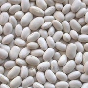 Фасоль белая / White beans 580 USD
