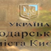 Представительство в хозяйственных (арбитражных) судах фото