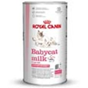 Корм для котов Royal Canin Babycat Milk (молоко для котят) фото