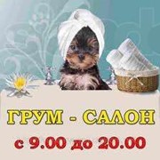 Стрижка, тримминг, вычесывание домашних животных. Выезд мастера на дом фото
