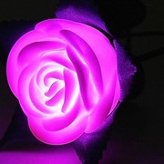 Розовая светящаяся в темноте роза