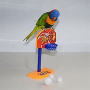 3шт домашних птиц жевать попугай колокольчики шары попугай игрушки птичка баскетбольное кольцо опора
