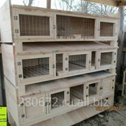 Клетки для кроликов из п/м Мягких пород древесины фото