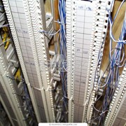 Монтаж низковольтных кабельных сетей в Алматы фото