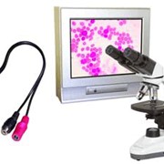 Камеры для микроскопии CAM V100 Видеокамера