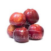 Яблоки Кубанское багряное