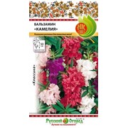 Цветы Бальзамин Камелия (смесь) (0,25г) фотография