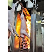 Оборудование мясоперерабатывающее, оборудование для убоя и первичной переработки скота