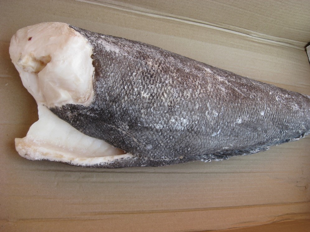 Рыба Сибас Фото Цена