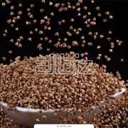 Семена гречихи, рапса, льна масличного