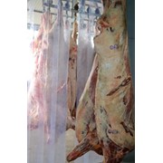 Мясо говяжье полутуши охлажденное, говядина 1 категории в полутушах, мясо говяжье полутуши охлажденное цена в Украине