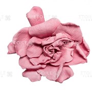 Гардения Цветок розовый