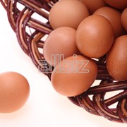 Яйцо куриное отечественных производителей