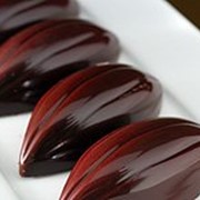 Поликарбонатная форма для шоколада “Плод какао“ фото