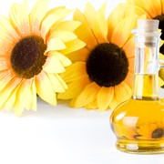 Производство масла из семян подсолнечника фото