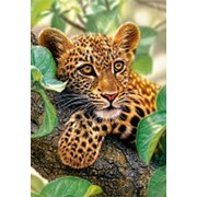 Пазл Castorland Животные 1500 деталей, Ягуар на дереве фотография