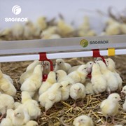 Поилки для бройлеров фото