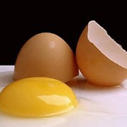 Яйца куриные отличные С-1 фото