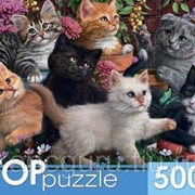 Пазлы Рыжий кот Пазлы 500 элементов 485*345мм. TOPpuzzle “Игривые котята“ фотография