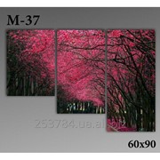 Картина модульная М-37, размер 60х90 фото