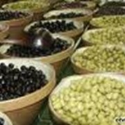 Оливки и маслины фотография