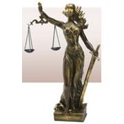 Судебные и арбитражные споры, Ведение дел в арбитражных и третейских судах