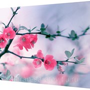 Картина на холсте 108*68 Ф18 фото