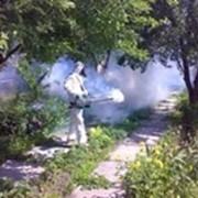 Дезинсекция фото