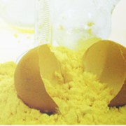 Желтки сухие яичные фото