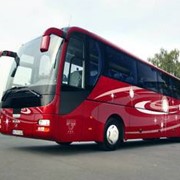 Автобус MAN Lion’s Coach R08 фото