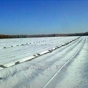 «Агроспан 17» 1,6х1000 фотография