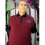 Мужская футболка Артикул: 4027-2, больших размеров оптом и в розницу