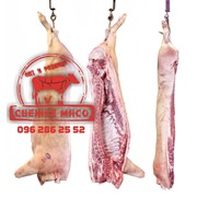 Мясо Свинина фотография