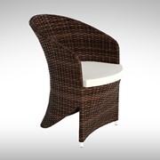 Кресло плетенное из ротанга Aquila 56x66x77 cm с подушкой фото