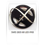 Светодиодная лента SMD 2835 60 LED/m. IP65 Тепло-белый фото