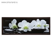 Картина “Орхидеи на чёрных камнях“ 57*157 см рамка МИКС фото